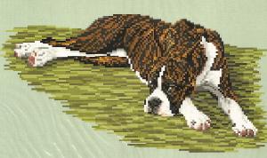 Brenda Franklin DB 1214 Boxer Reclining-Brindle. 158 x 81 stitches. Cross Stitch, Petit Point, Needlepoint, Waste Canvas, & Rug Hooking Pattern. 