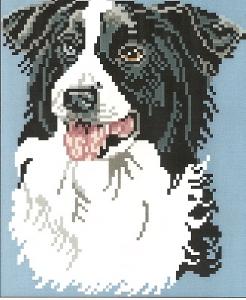 Brenda Franklin DB 316 Border Collie. 82 x 100 stitches. Cross Stitch, Petit Point, Needlepoint, Waste Canvas, & Rug Hooking Pattern. 