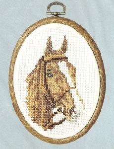 Horse With Bridle By Helen Burgess 612
